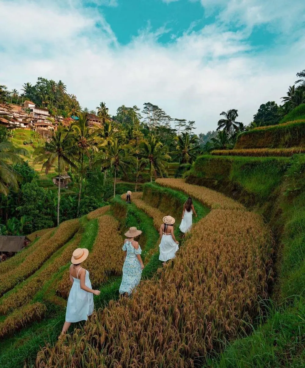 Destinasi wisata di Bali © 2020 brilio.net