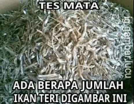 tes mata ngawur berbagai sumber tes mata ngawur berbagai sumber