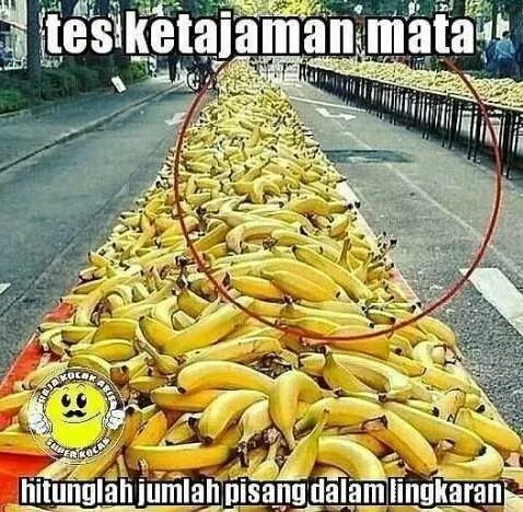 tes mata ngawur berbagai sumber tes mata ngawur berbagai sumber