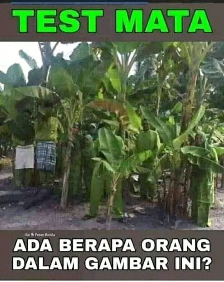 tes mata ngawur berbagai sumber tes mata ngawur berbagai sumber
