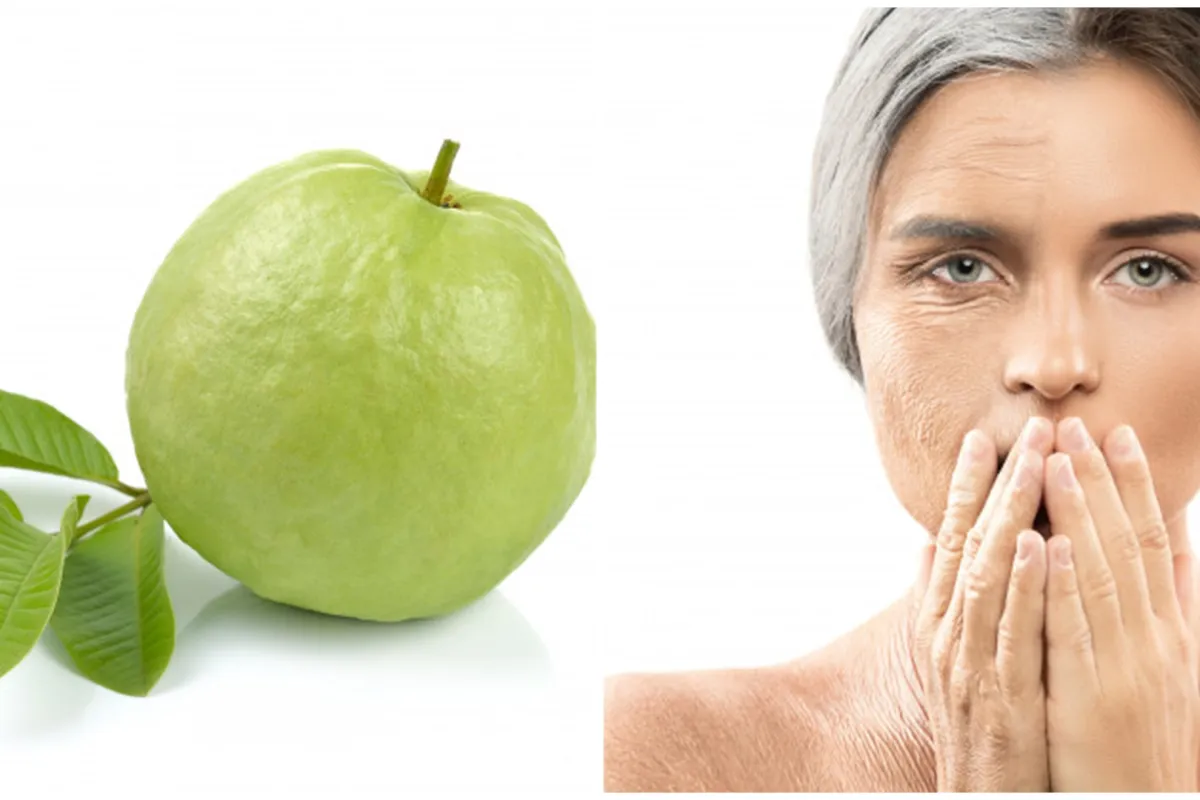 9 Manfaat daun jambu biji untuk kecantikan, menghilangkan komedo