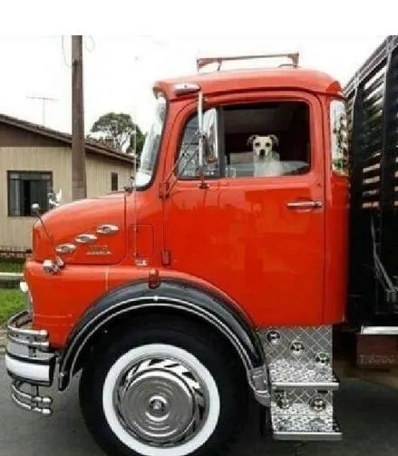 penampakan di kaca truk © 2020 1cak.com