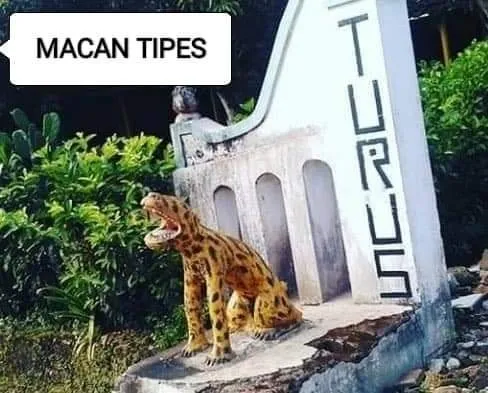 Patung macan absurd Facebook/ Hodi Min'z