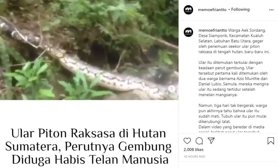 ular raksasa mati di kalimantan Instagram ular raksasa mati di kalimantan Instagram
