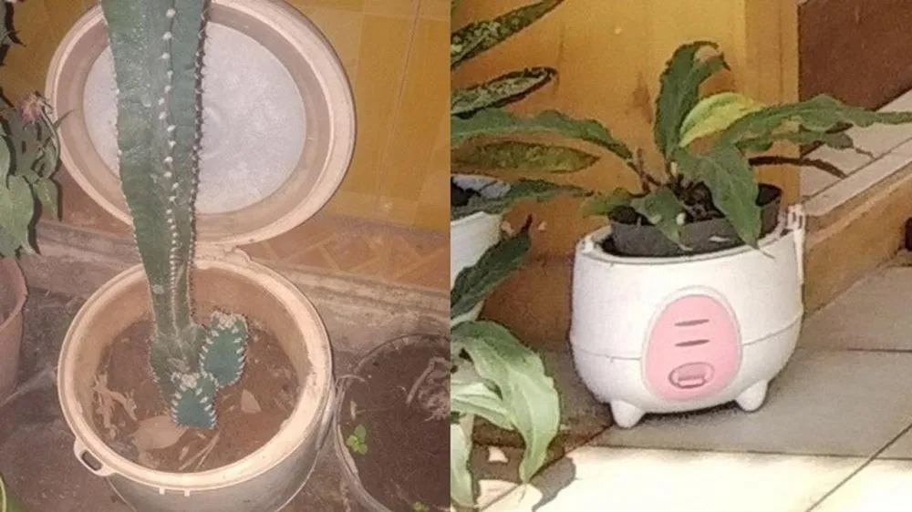 Barang rusak beralih fungsi Berbagai sumber Barang rusak beralih fungsi Berbagai sumber