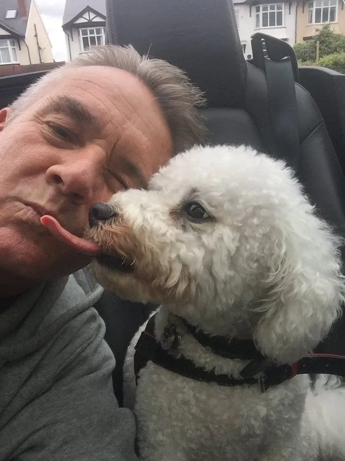 Potret bareng hewan apes Berbagai sumber