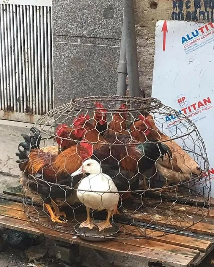 momen beda dari yang lain Instagram momen beda dari yang lain Instagram