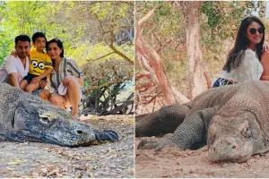 Gaya 10 seleb pose bareng komodo saat liburan, berani banget