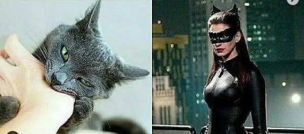 ilustrasi superhero absurd Instagram ilustrasi superhero absurd Instagram