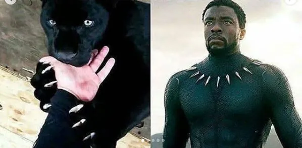 ilustrasi superhero absurd Instagram ilustrasi superhero absurd Instagram