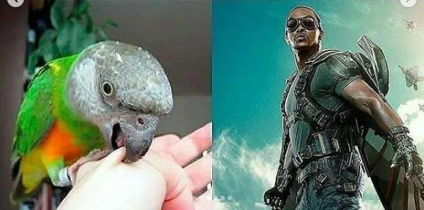 ilustrasi superhero absurd Instagram ilustrasi superhero absurd Instagram