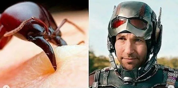 ilustrasi superhero absurd Instagram ilustrasi superhero absurd Instagram