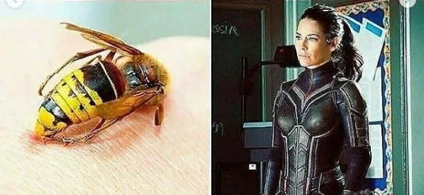 ilustrasi superhero absurd Instagram ilustrasi superhero absurd Instagram