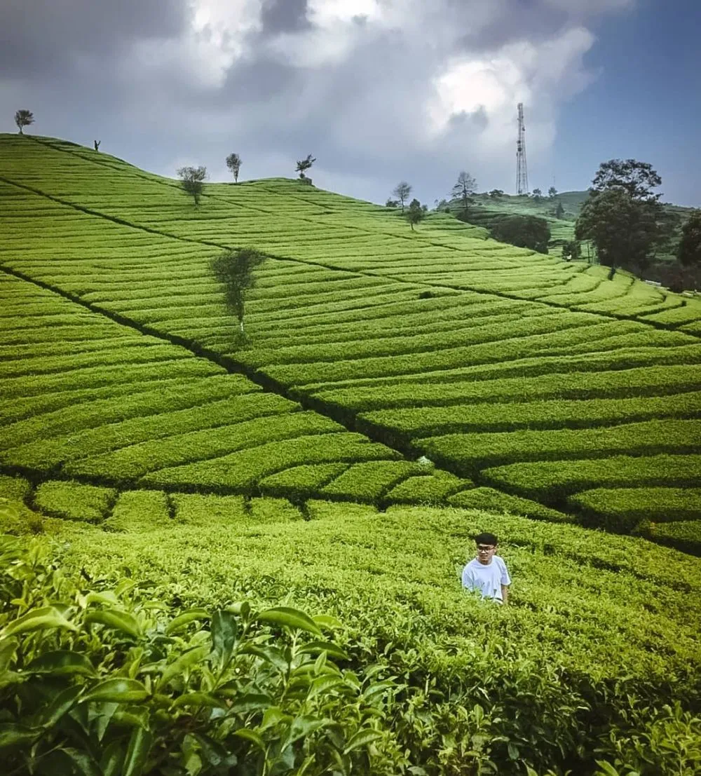 destinasi wisata di Subang © 2020 brilio.net destinasi wisata di Subang © 2020 brilio.net