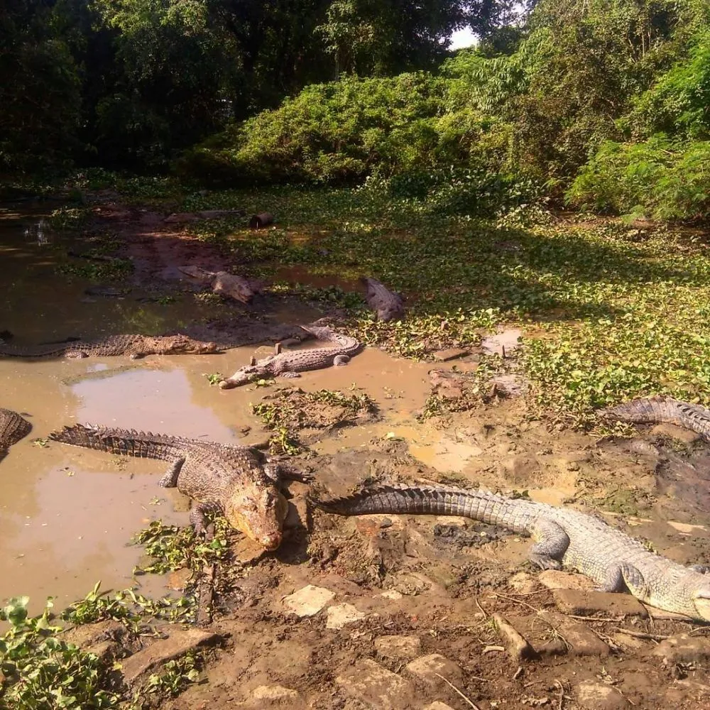 destinasi wisata di Subang © 2020 brilio.net destinasi wisata di Subang © 2020 brilio.net