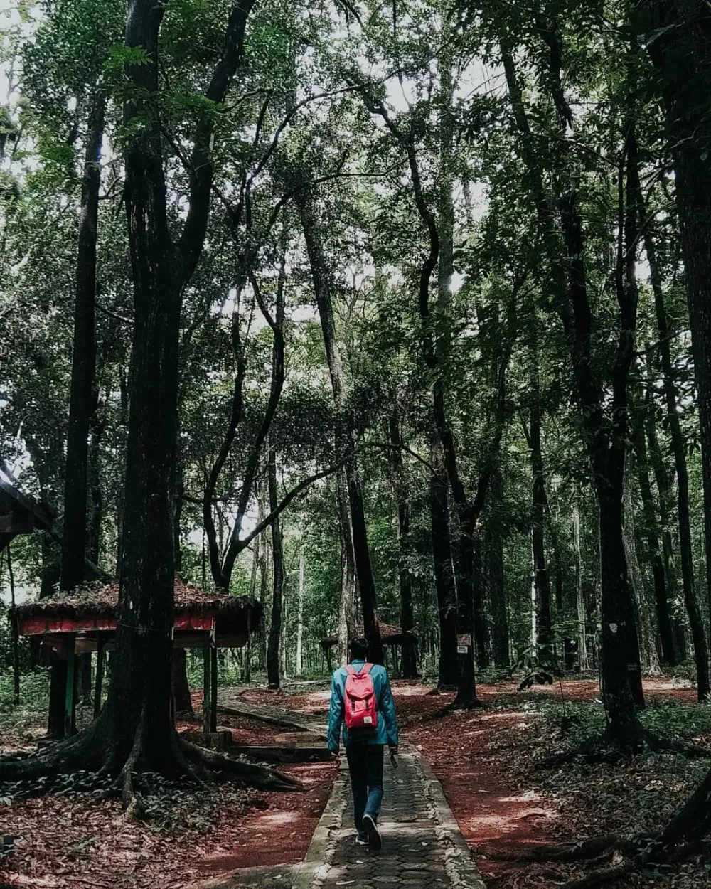 destinasi wisata di Subang © 2020 brilio.net destinasi wisata di Subang © 2020 brilio.net