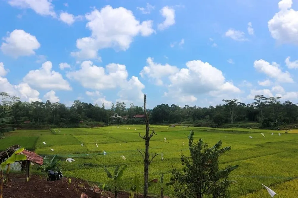 destinasi wisata di Subang © 2020 brilio.net destinasi wisata di Subang © 2020 brilio.net