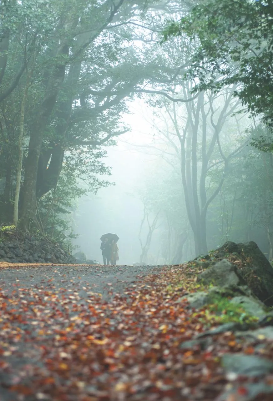 Destinasi wisata wellness di Korea © 2020 brilio.net