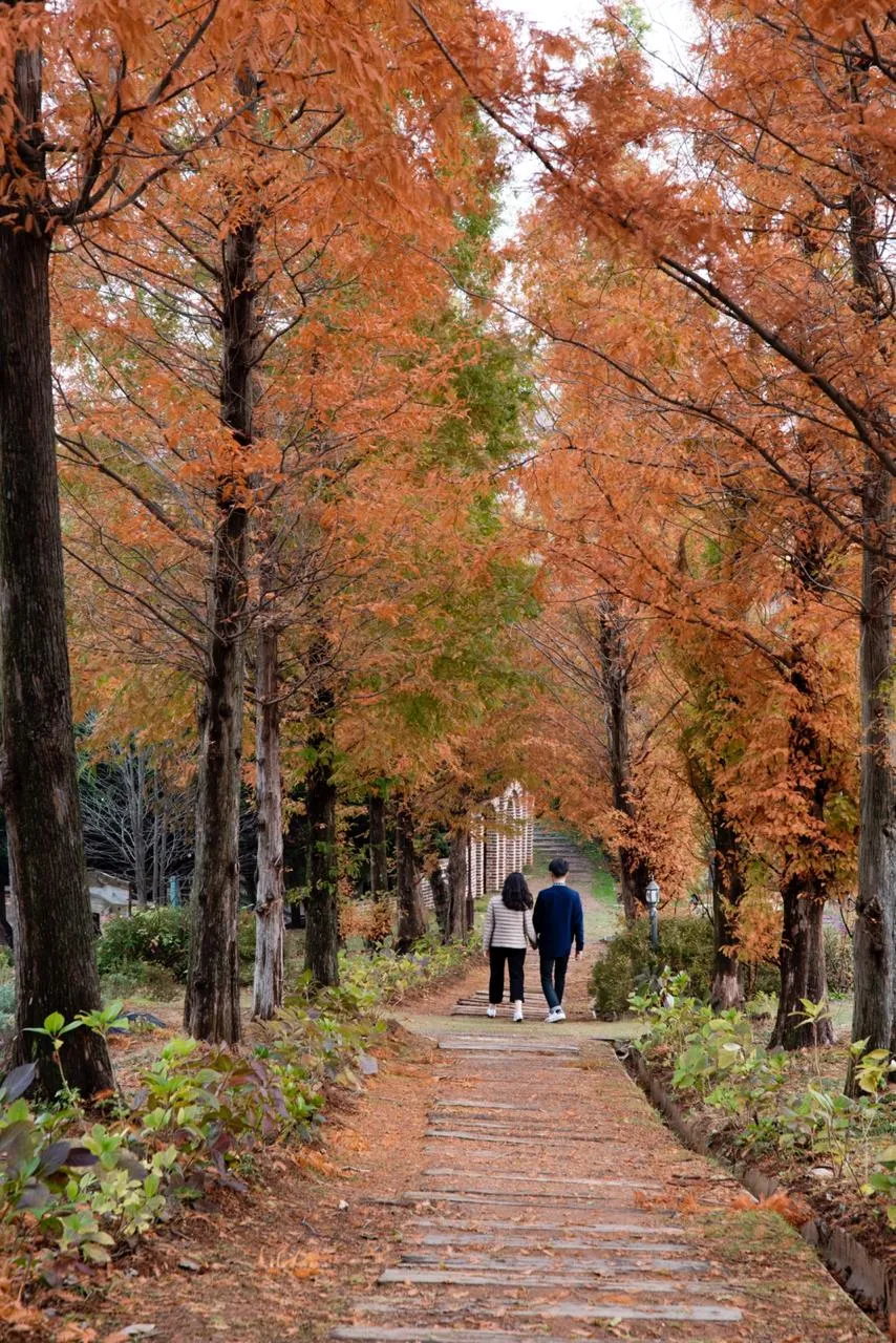 Destinasi wisata wellness di Korea © 2020 brilio.net