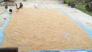 hewan mukbang Berbagai sumber hewan mukbang Berbagai sumber