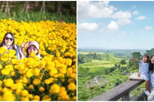 Jauh dari keramaian, 5 spot agrowisata Bali ini cocok untuk keluarga