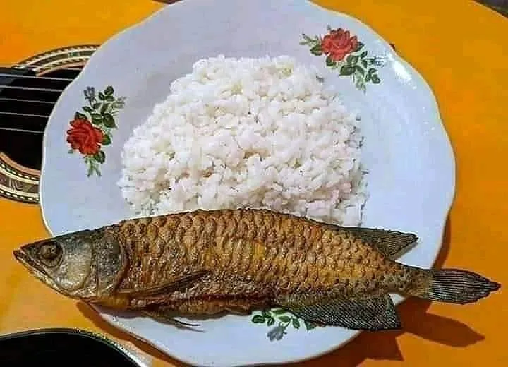 orang makan ikan kocak © Berbagai Sumber