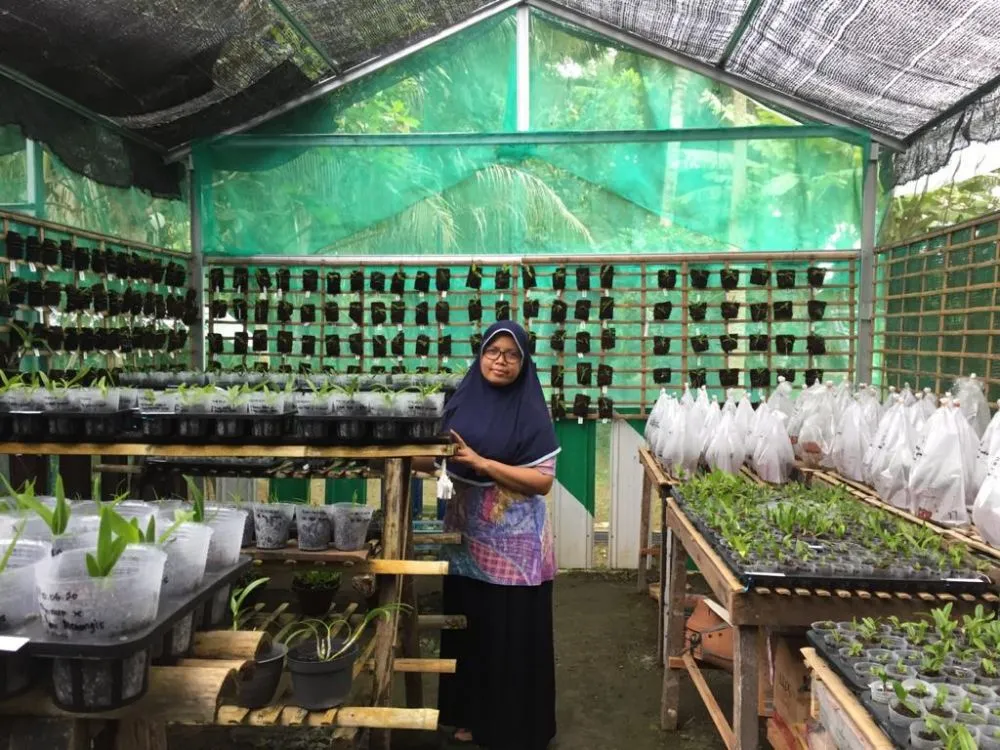 tren bercocok tanam © 2020 brilio.net tren bercocok tanam © 2020 brilio.net