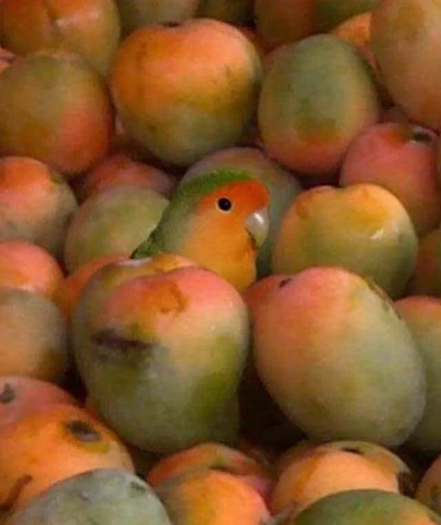 potret lucu beda sendiri © Instagram potret lucu beda sendiri © Instagram