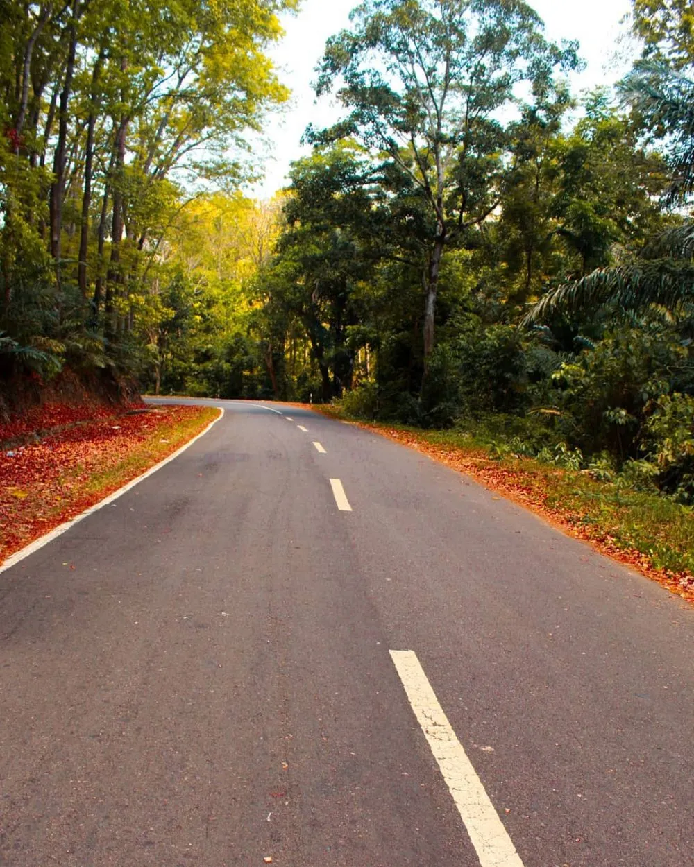 Destinasi menarik di flores © 2020 brilio.net Destinasi menarik di flores © 2020 brilio.net