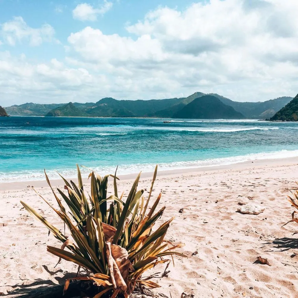 Spot surfing di Mandalika © 2020 brilio.net Spot surfing di Mandalika © 2020 brilio.net