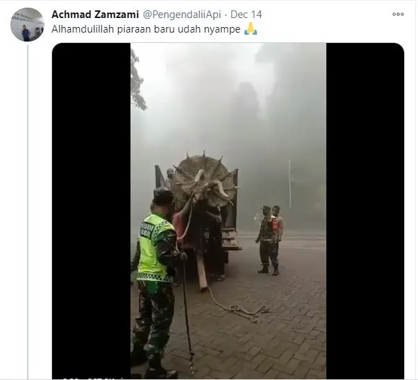 dinosaurus di magetan © Berbagai Sumber dinosaurus di magetan © Berbagai Sumber