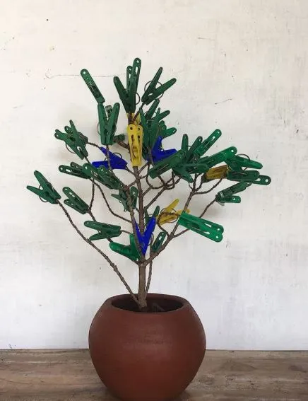 tanaman bukan dari tumbuhan Instagram