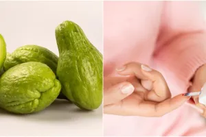 10 Manfaat labu siam untuk kesehatan, dapat mengontrol gula darah