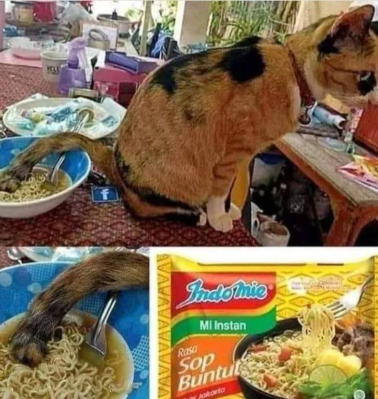 0 Potret lucu peliharaan jadi bos istimewa 0 Potret lucu peliharaan jadi bos istimewa