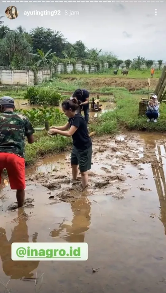 Ayu Ting Ting bertani © Instagram Ayu Ting Ting bertani © Instagram