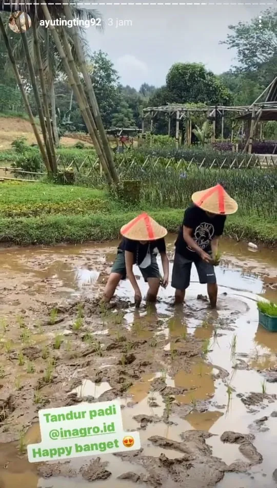 Ayu Ting Ting bertani © Instagram Ayu Ting Ting bertani © Instagram