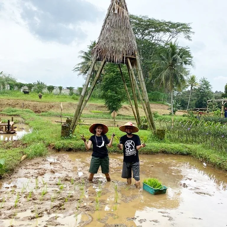 Momen seleb saat bertani Instagram