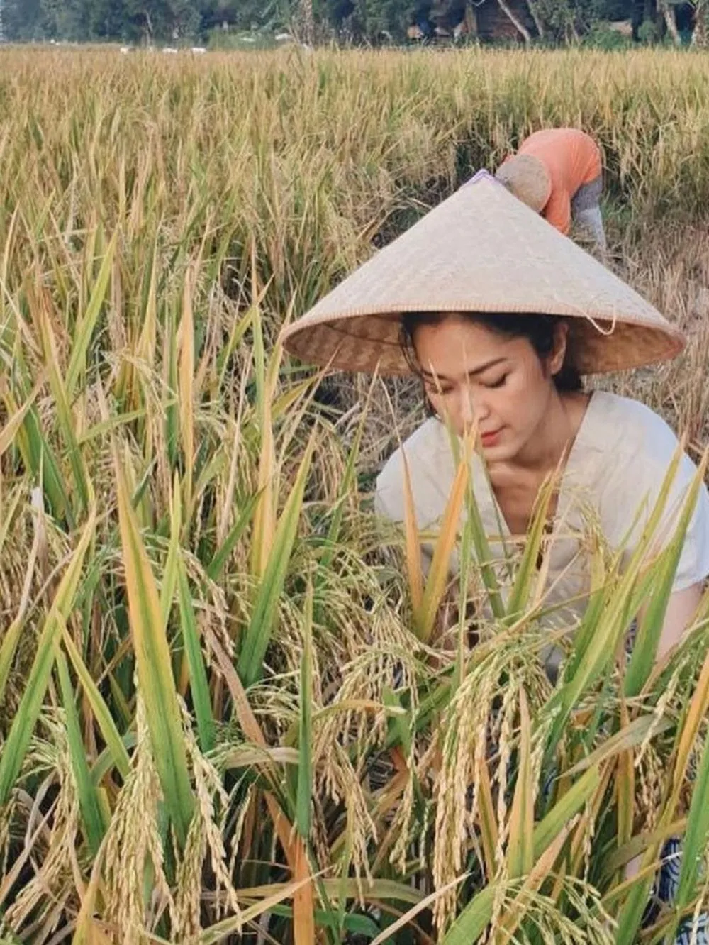 Momen seleb saat bertani Instagram