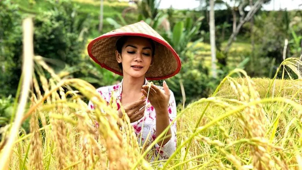 Momen seleb saat bertani Instagram