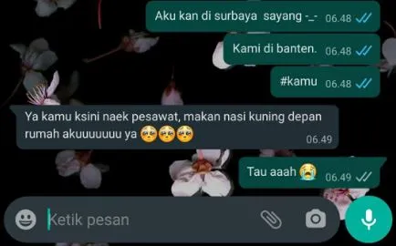chat permintaan absurd pacar Berbagai sumber
