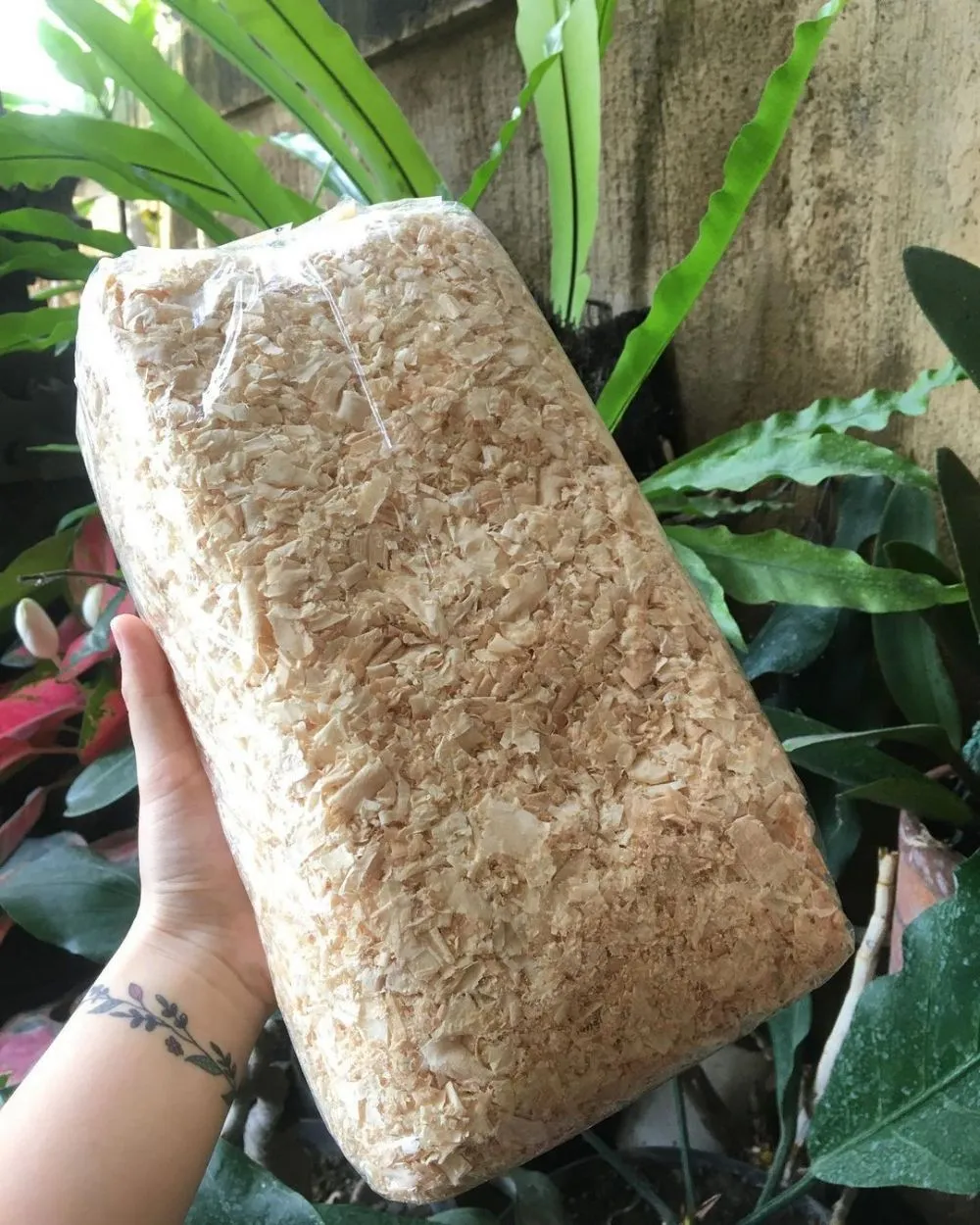 Media tanam hidroponik organik dan anorganik Intagram ; freepik © 2021 brilio.net