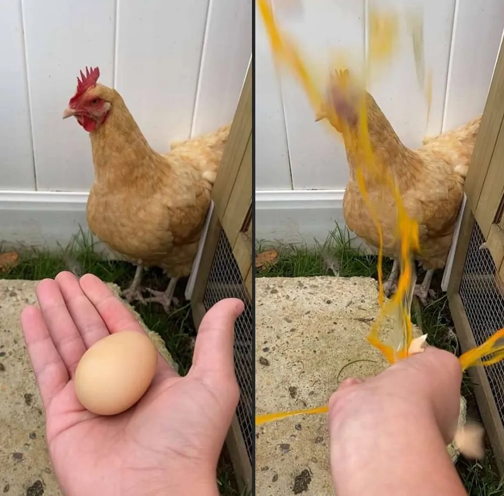 momen orang cari gara-gara © Instagram momen orang cari gara-gara © Instagram