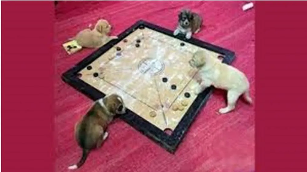 main karambol © Berbagai Sumber