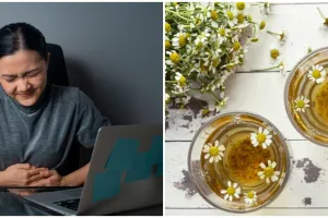 8 Tanaman obat mengatasi asam lambung kronis, tanpa efek samping