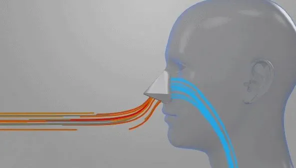 filter udara bentuk anjing istimewa filter udara bentuk anjing istimewa