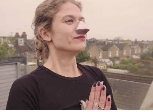 filter udara bentuk anjing istimewa filter udara bentuk anjing istimewa