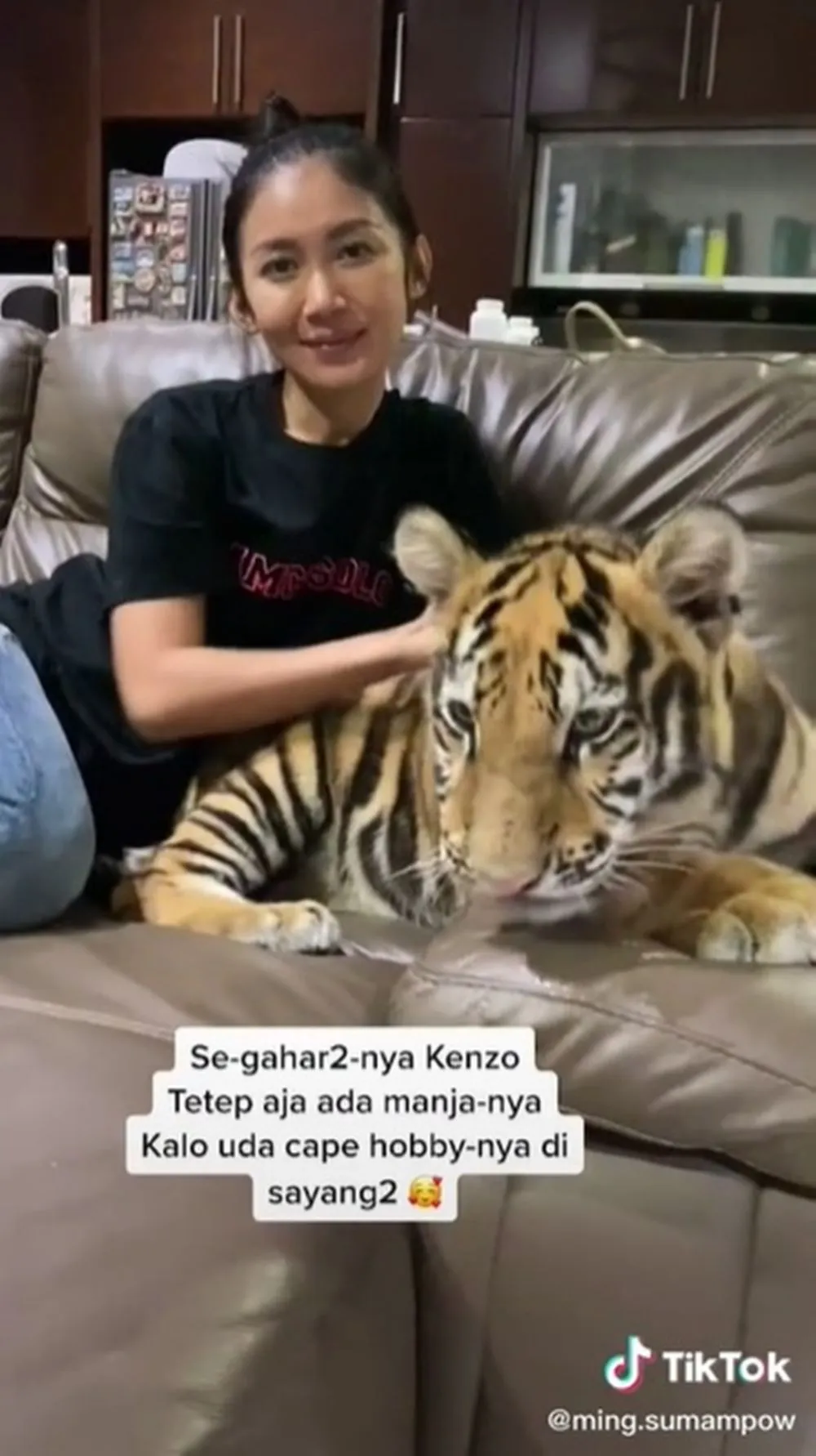 keluarga pelihara harimau © TikTok keluarga pelihara harimau © TikTok