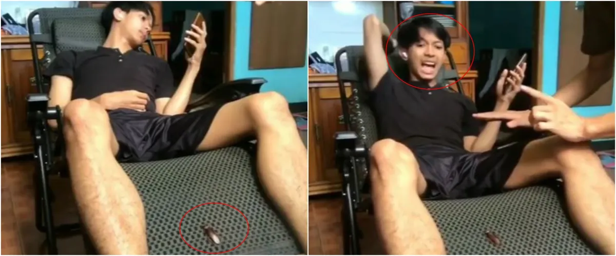 6 Video momen absurd manusia vs kecoak, lucu tapi bikin merinding