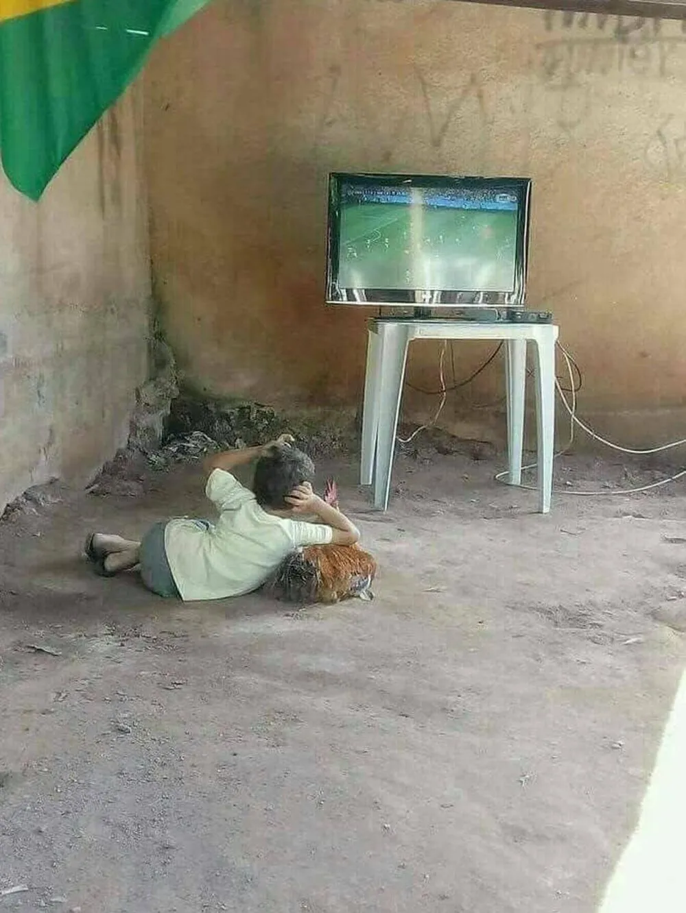 tingkah ayam kocak © Berbagai Sumber tingkah ayam kocak © Berbagai Sumber