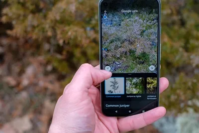 Reno5F hack istimewa Reno5F hack istimewa